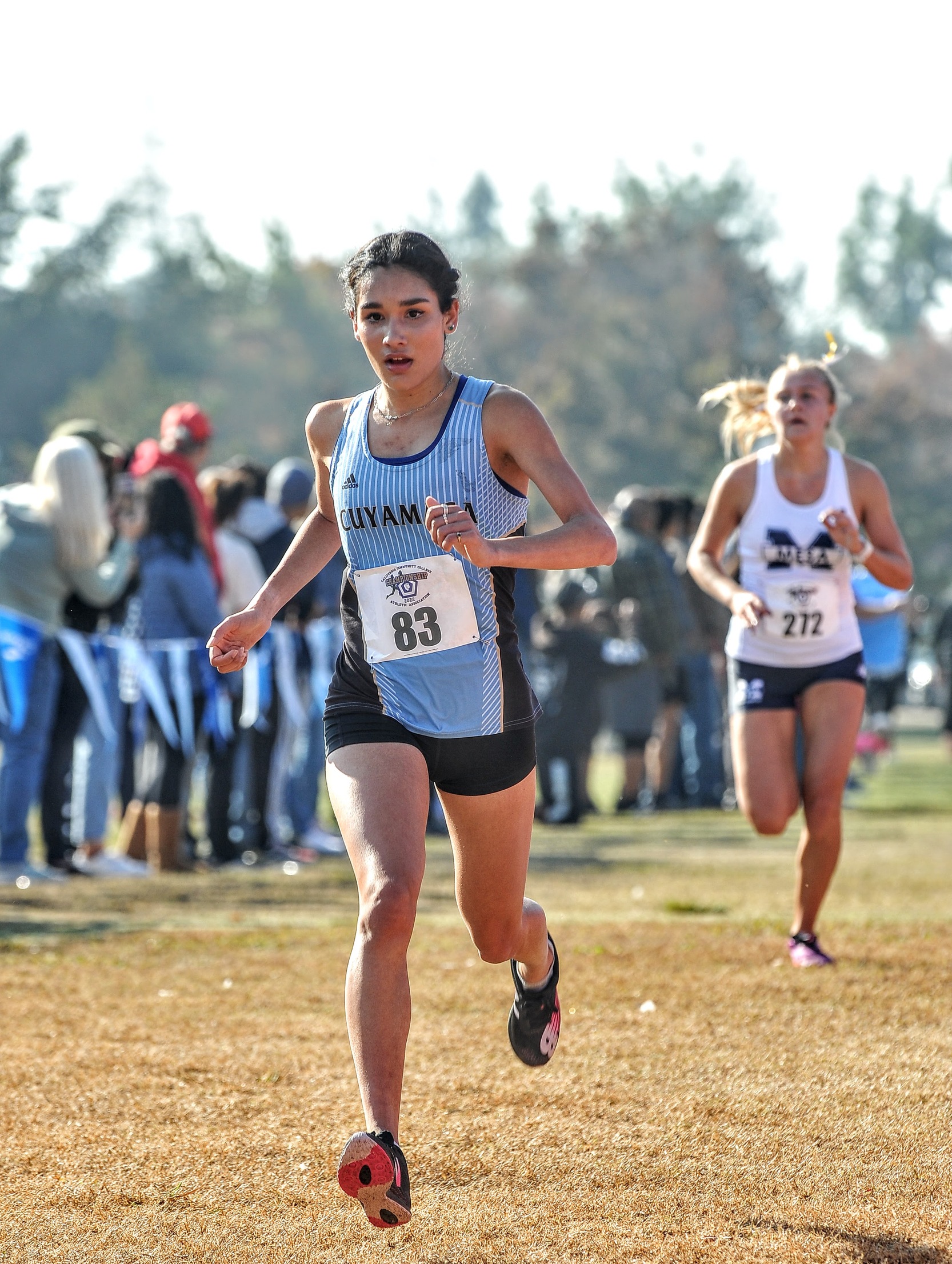 Women's Cross Country finish 15th in State